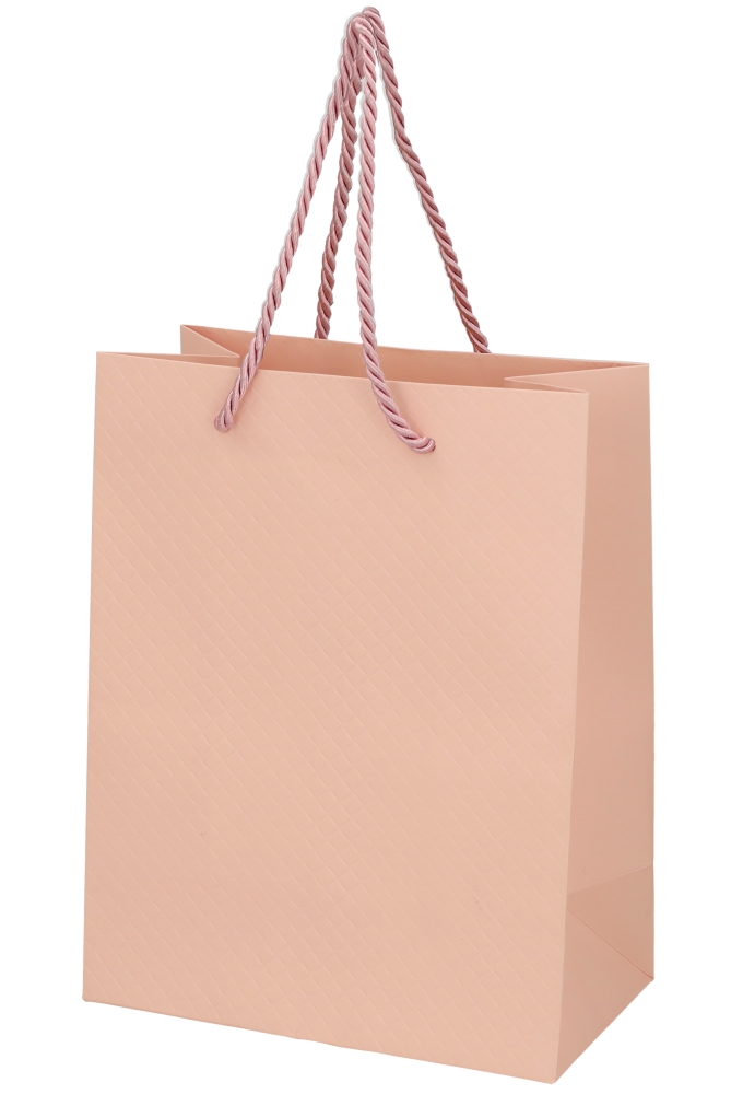 Kadotasjes Everyday Ruitje Roze 18x10x23cm 10stuks