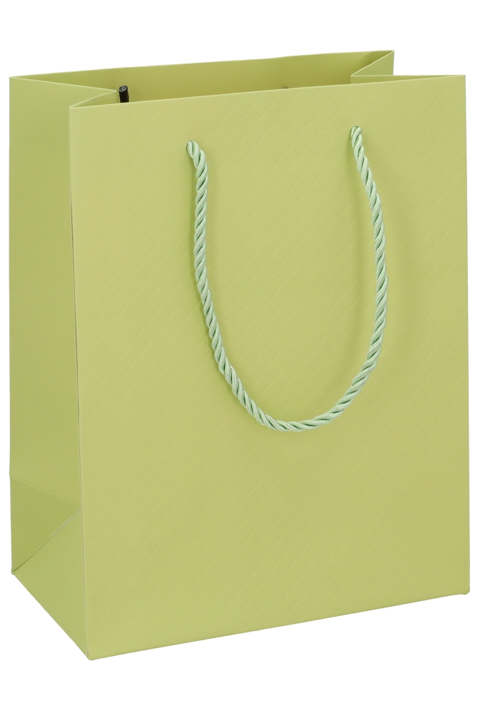 Kadotasjes Everyday Ruitje Groen 18x10x23cm 10stuks