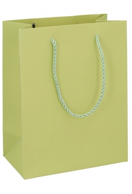 Kadotasjes Everyday Ruitje Groen 18x10x23cm 10stuks