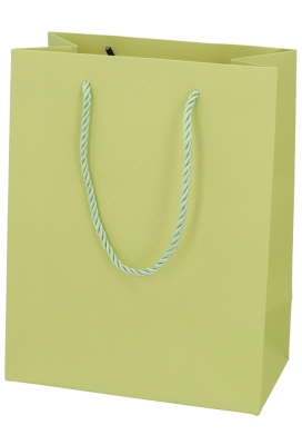 Kadotasjes Everyday Ruitje Groen 18x10x23cm 10stuks