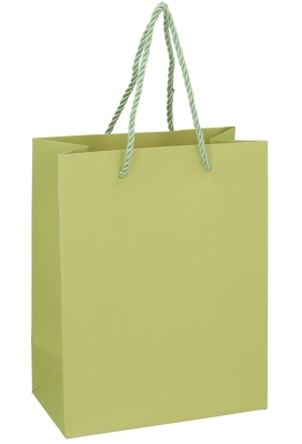 Kadotasjes Everyday Ruitje Groen 18x10x23cm 10stuks