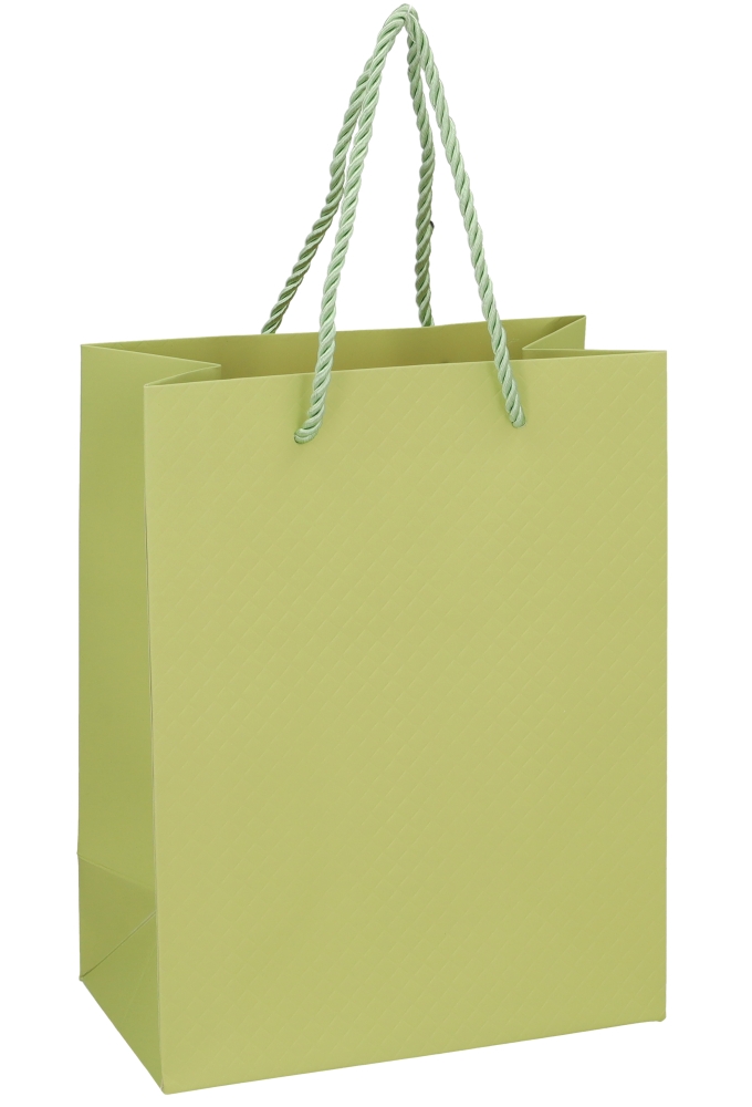 Kadotasjes Everyday Ruitje Groen 18x10x23cm 10stuks