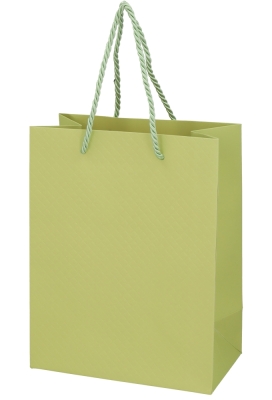 Kadotasjes Everyday Ruitje Groen 18x10x23cm 10stuks