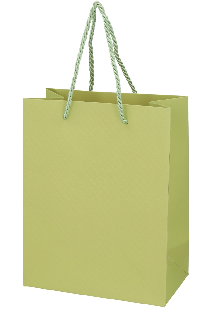 Kadotasjes Everyday Ruitje Groen 18x10x23cm 10stuks