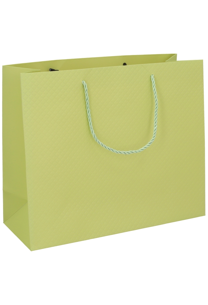 Kadotasjes Everyday Ruitje Groen 31x12x26cm 10stuks