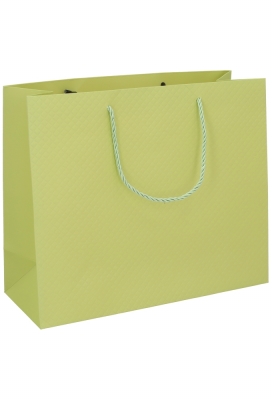 Kadotasjes Everyday Ruitje Groen 31x12x26cm 10stuks