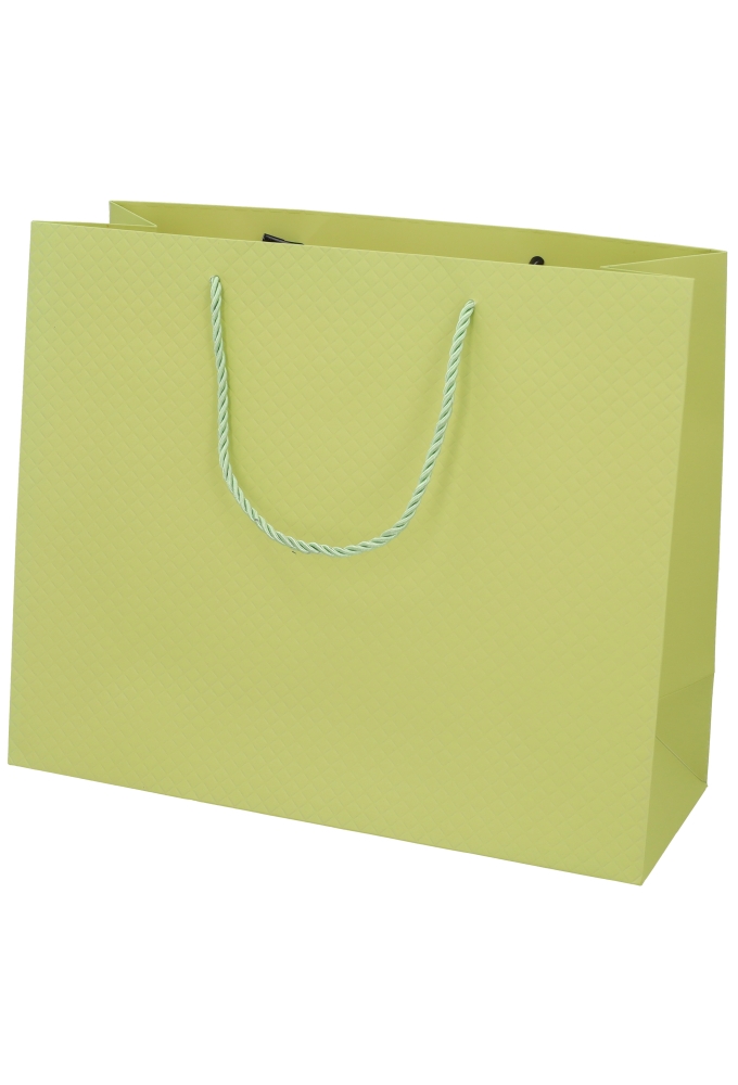 Kadotasjes Everyday Ruitje Groen 31x12x26cm 10stuks