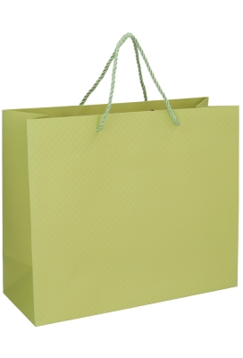 Kadotasjes Everyday Ruitje Groen 31x12x26cm 10stuks
