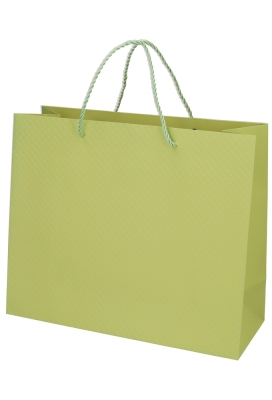 Kadotasjes Everyday Ruitje Groen 31x12x26cm 10stuks