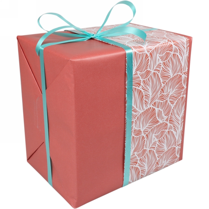 Kadopapier Leafs Terracotta 80gram 50cm x 200meter