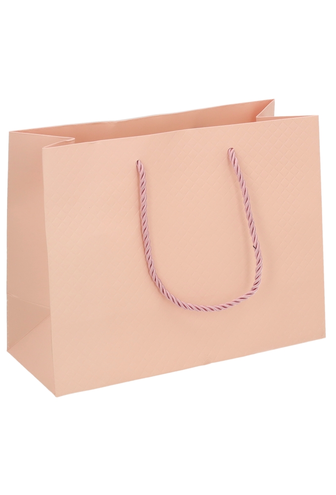 Kadotasjes Everyday Ruitje Roze 23x10x18cm 10stuks