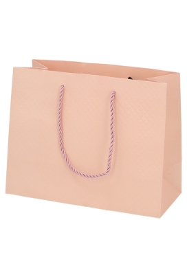 Kadotasjes Everyday Ruitje Roze 23x10x18cm 10stuks