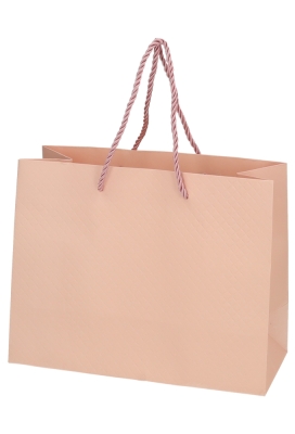 Kadotasjes Everyday Ruitje Roze 23x10x18cm 10stuks