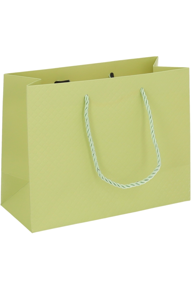 Kadotasjes Everyday Ruitje Groen 23x10x18cm 10stuks