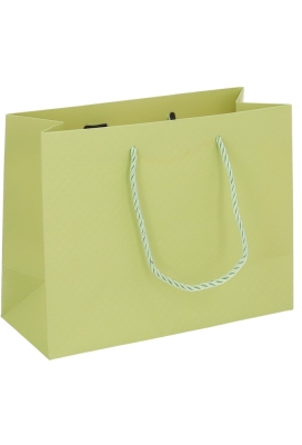 Kadotasjes Everyday Ruitje Groen 23x10x18cm 10stuks