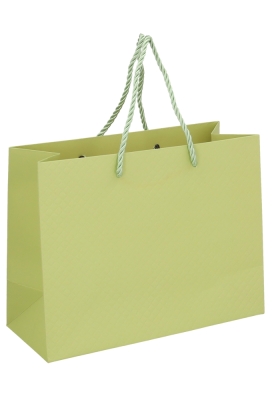 Kadotasjes Everyday Ruitje Groen 23x10x18cm 10stuks