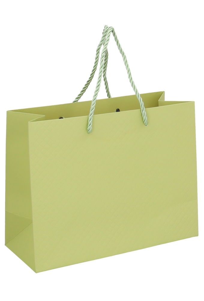 Kadotasjes Everyday Ruitje Groen 23x10x18cm 10stuks