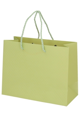 Kadotasjes Everyday Ruitje Groen 23x10x18cm 10stuks