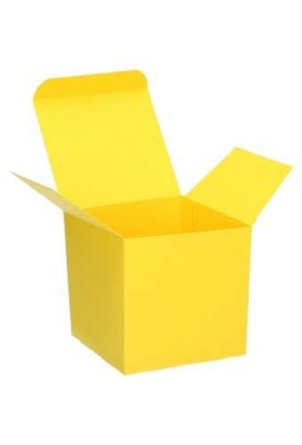 Kubus Kadodoosjes Donnas 9x9x9cm Geel 350gr 20 stuks