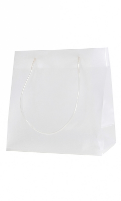 Luxe Plastic Draagtassen Transparant Lesse 25x10x25cm 100stuks