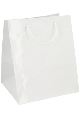 Kadotasjes Rome Uni Wit Glanzend Met Koord 25x23x30cm Extra Diep 10st