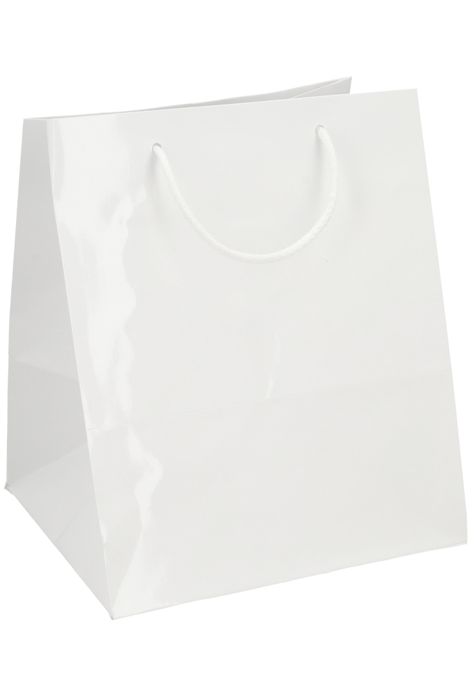 Kadotasjes Rome Uni Wit Glanzend Met Koord 25x23x30cm Extra Diep 10st