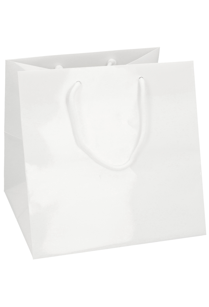 Kadotasjes Rome Uni Wit Glanzend Met Koord 25x25x25cm Extra Diep 10st