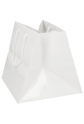 Kadotasjes Rome Uni Wit Glanzend Met Koord 25x25x25cm Extra Diep 10st