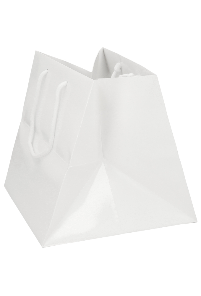 Kadotasjes Rome Uni Wit Glanzend Met Koord 25x25x25cm Extra Diep 10st