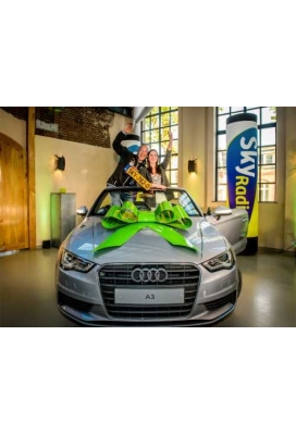 Megastrik Autostrik Toronto Groen 86x103cm