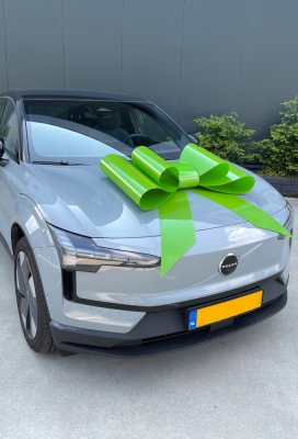 Megastrik Autostrik Toronto Groen 86x103cm