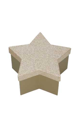 Geschenkdoos Met Deksel Glitter Ster Goud Klein 16x15.5x8cm 1stuks