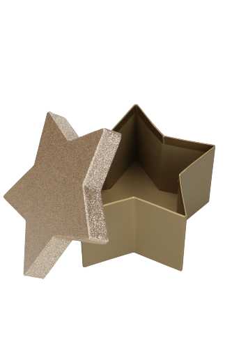 Geschenkdoos Met Deksel Glitter Ster Goud Klein 16x15.5x8cm 1stuks