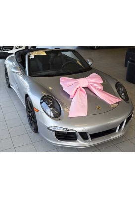 Megastrik Dubbel Roze Lucca 77x50+40cm & Zuignap lint 25cm