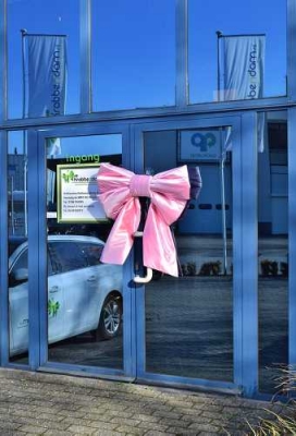 Deurstrik Dubbel Roze Lucca 77x50+40cm & Zuignap lint 25cm