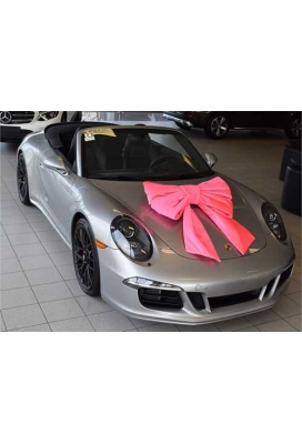 Megastrik Dubbel Pink Lucca 77x50+40cm & Zuignap lint 25cm