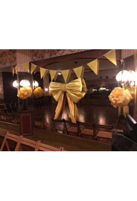 Megastrik Dubbel Geel Lucca 77x50+40cm & Zuignap lint 25cm