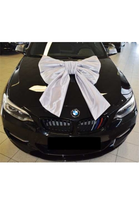 Megastrik Dubbel Zilver Lucca 77x50+40cm & Zuignap lint 25cm