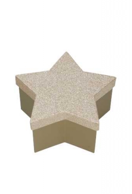 Geschenkdoos Met Deksel Glitter Star Goud Middel 19x19x9.5cm 1stuks