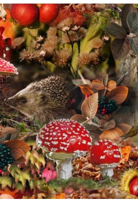 Inpakpapier Trendy herfst 30cm x 200meter