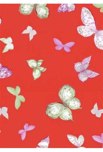 kadopapier Chrysalis Oranje 80gr 200m x 30cm