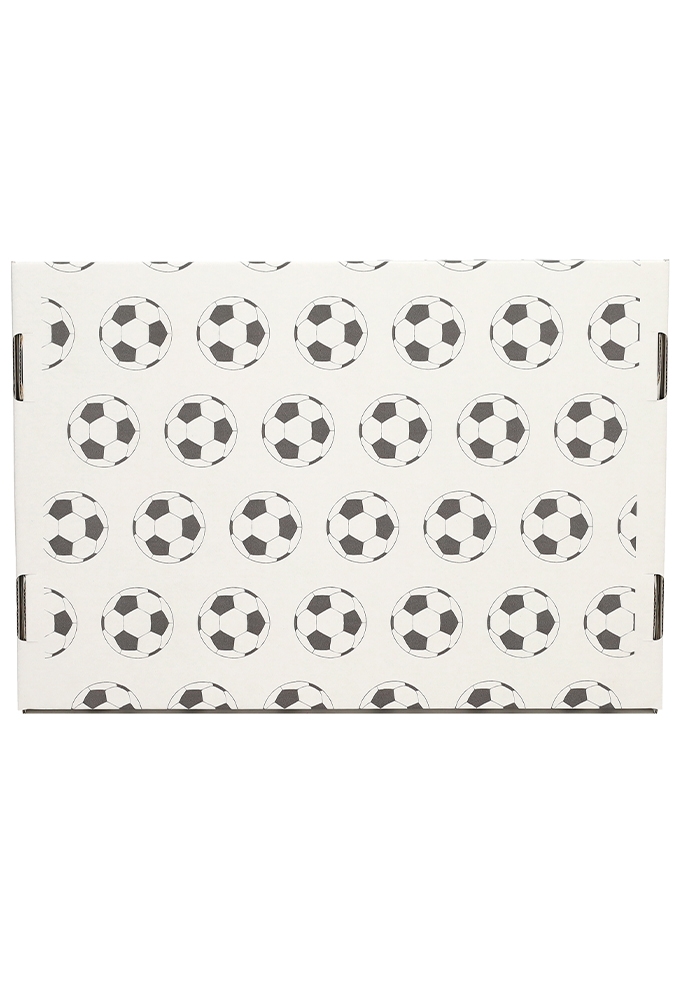 Brievenbusdoos WK Voetbal A4 31x22x2.8cm 10stuks