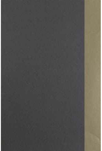 Geschenkpapier Dubbelzijdig Taupe & Champagne 80gr 50cm x 100meter