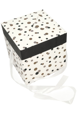 Geschenkdoos Regalo Gifts Dots & Wit Lint20x20x20cm 25stuks