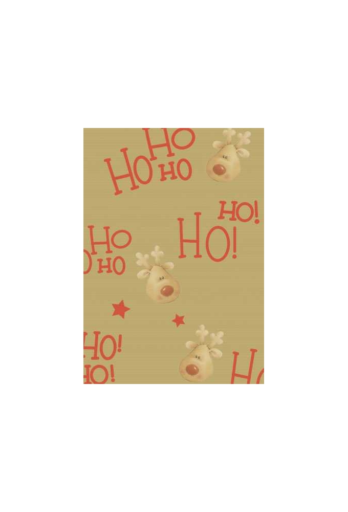 Kerstpapier Bruin Kraft Rudolf Rood 30cm x 250meter