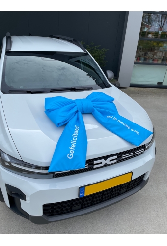 Megastrik Dubbel Lucca Gefeliciteerd Blauw 77x50+40cm & Zuignap