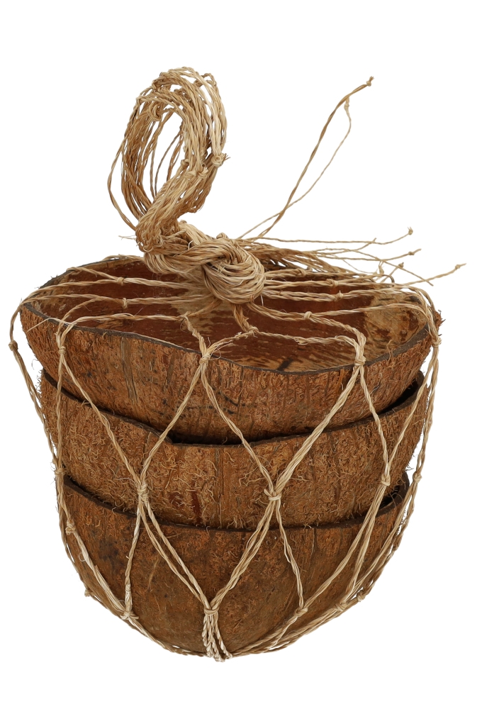 Coconuts Naturel 12cm kokosnoot bolster 3 stuks