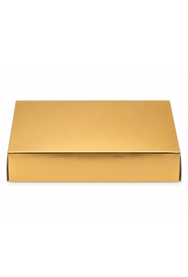 Gouden Bodem Voor Blokbodemzakjes 8x5x2cm 100 stuks