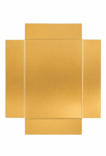 Gouden Bodem Voor Blokbodemzakjes 10x6x2cm 100 stuks