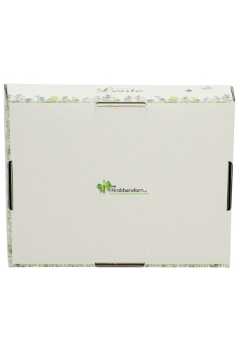 Geschenkdozen Korf Voorjaar Lente 23x17x8cm 10stuks